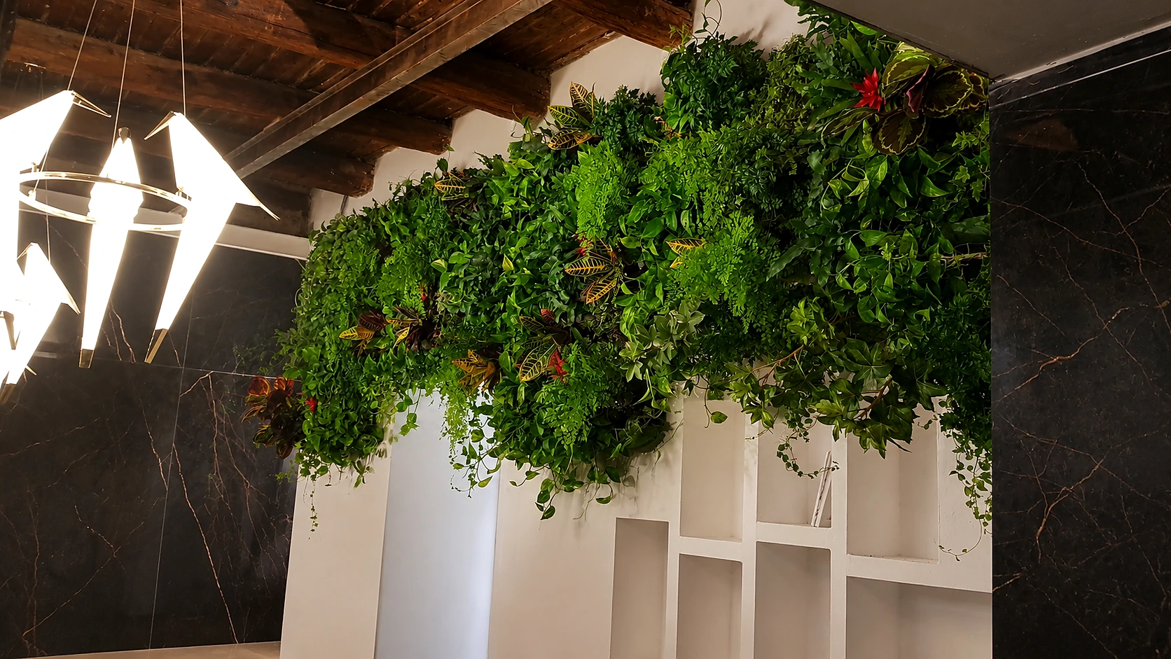 Parete verde con piante vere nel ristorante