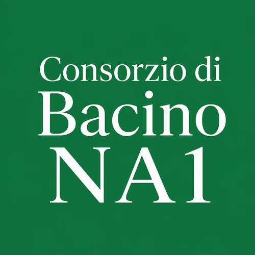 Consorzio di Bacino NA1